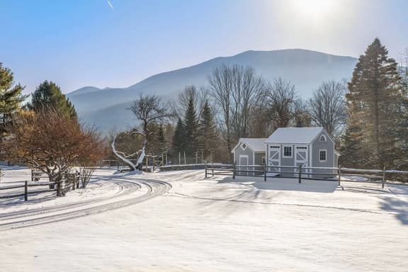 73 Dorset Cottage - Image 1